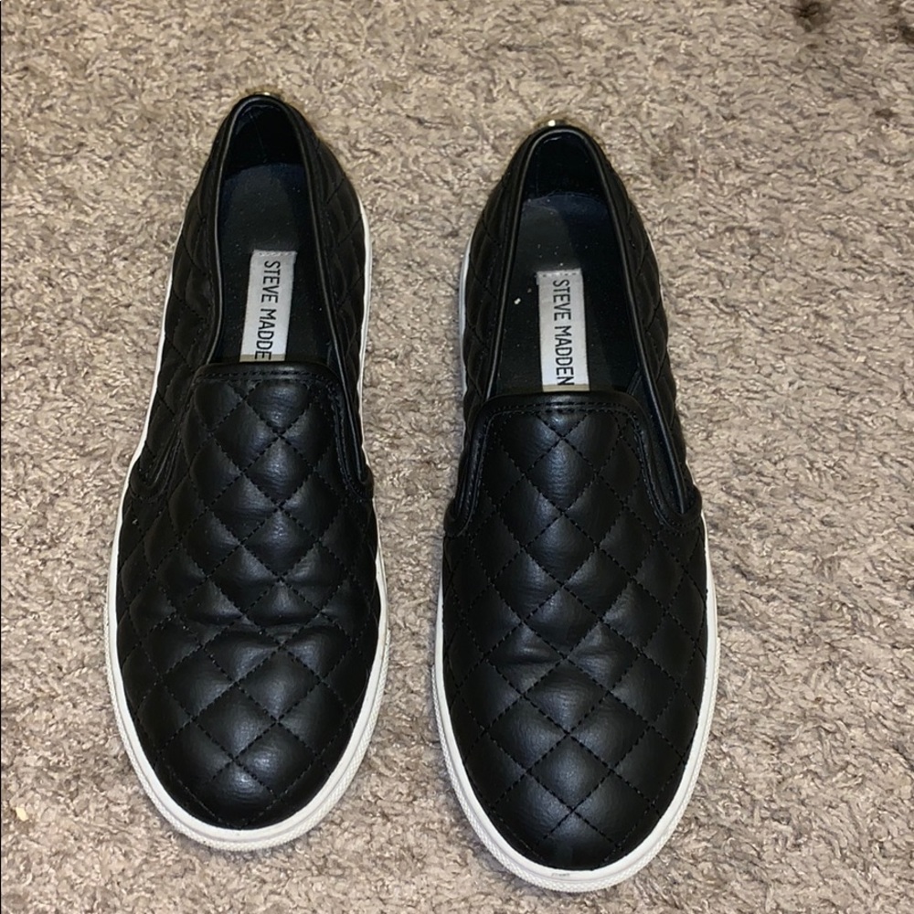 Steve Madden ecentrq sneakers